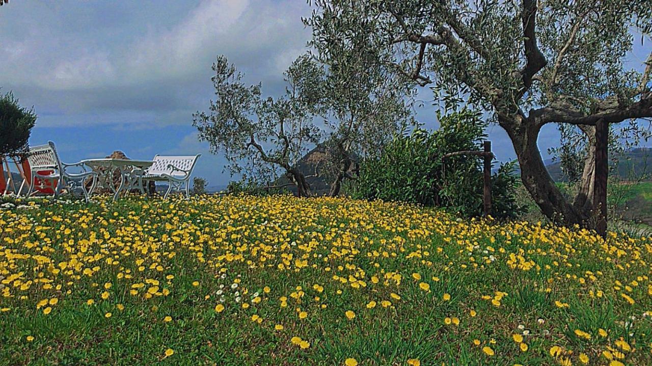 Agriturismo Villa Felice Volterra Luaran gambar